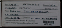 Image Associated With the Occurence